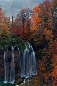 精选篇章 黑红大佬 精选篇章 黑红大佬