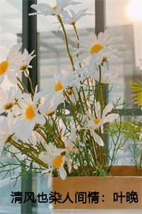 清风也染人间情:叶晚柒贺君城 清风也染人间情:叶晚柒贺君城