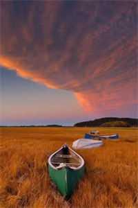 云深不知归处 云深不知归处