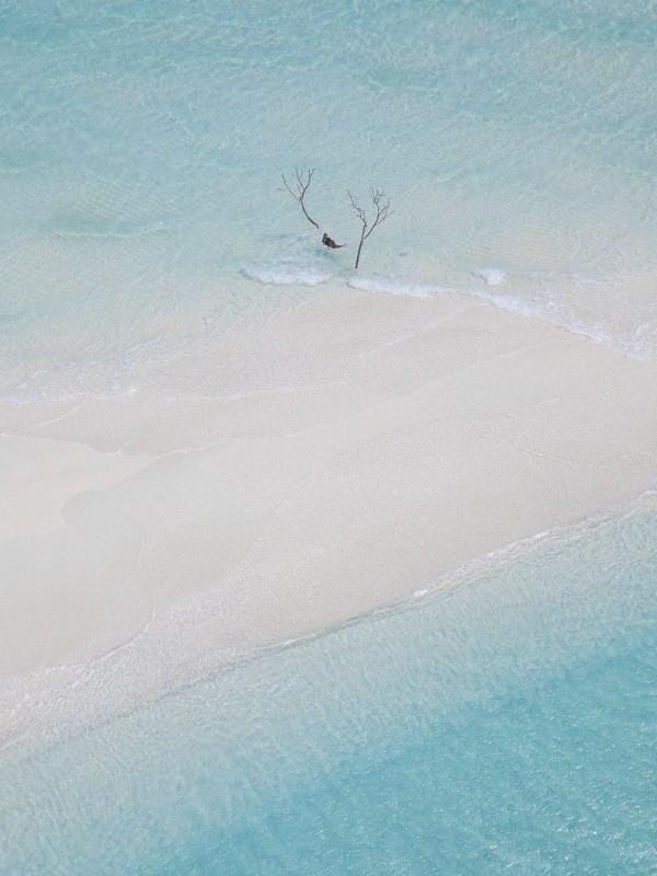 姐姐为贱婢欺辱我,我将她们逐出家门 姐姐为贱婢欺辱我,我将她们逐出家门